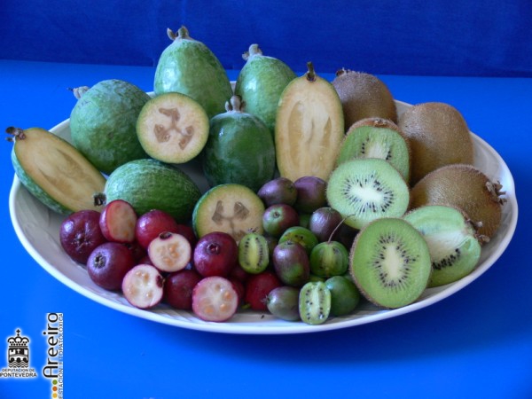 Composiciones frutales - Fruit arrangement - Composicions frutais >> Composiciones Frutales_1.jpg